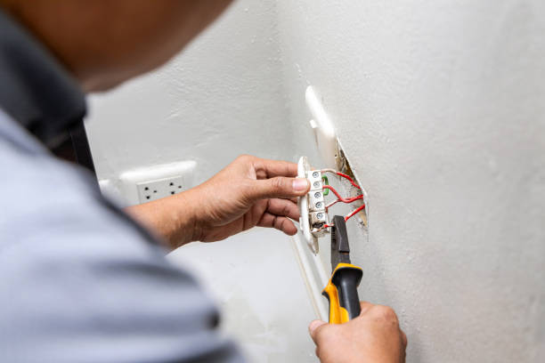 Best Electrical Upgrades for Homes  in Hebron, MD