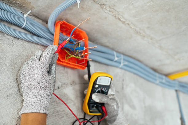 Best Electric Panel Repair  in Hebron, MD
